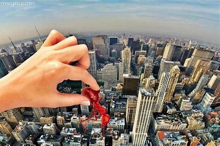 梦见邻居盖楼的时候摔死了