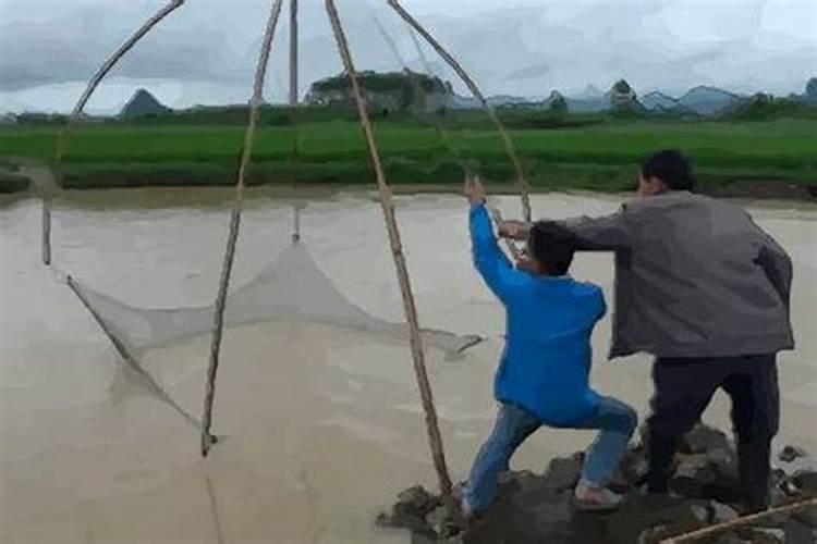 梦见涨水把买的鱼冲走了的预兆