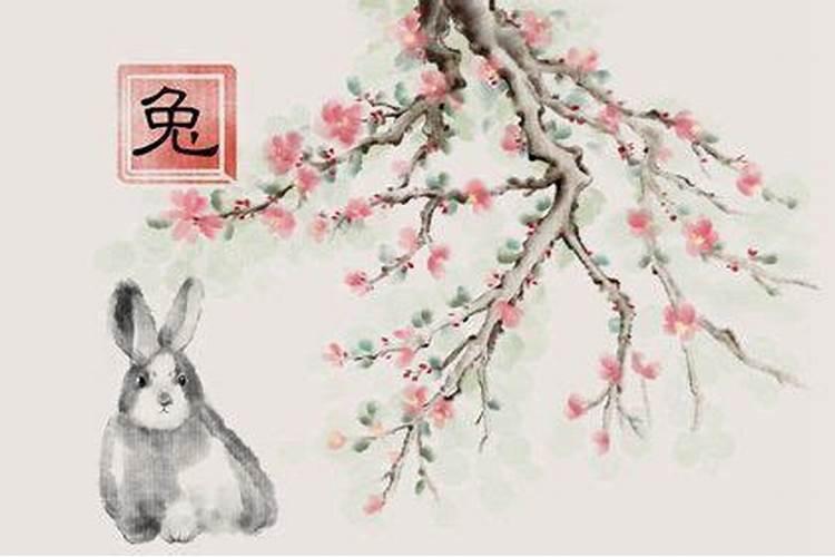 各地端午节都有什么风俗？山东邹平的人们早起要饮酒!