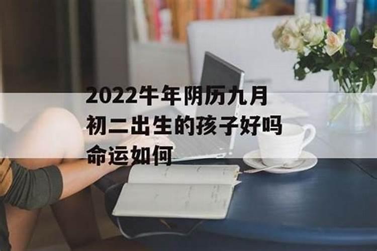 周易算命属鸡生于69年11月11