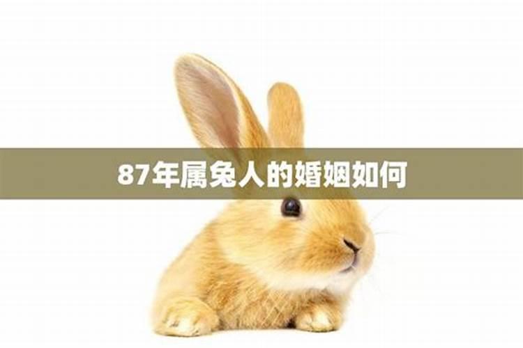 八字不合是什么意思