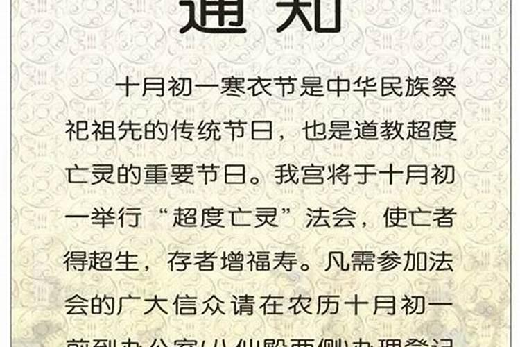 战火中的女孩的基本介绍