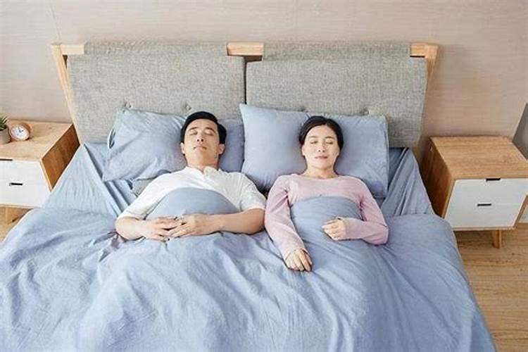己巳年的蛇是什么蛇