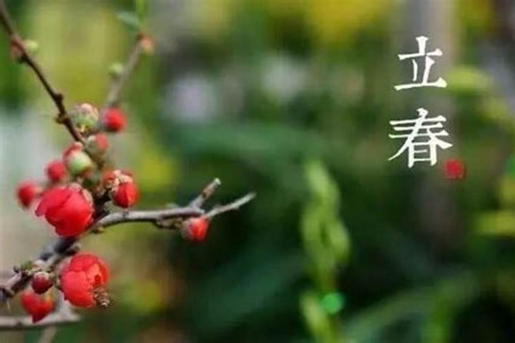 立春有哪些习俗