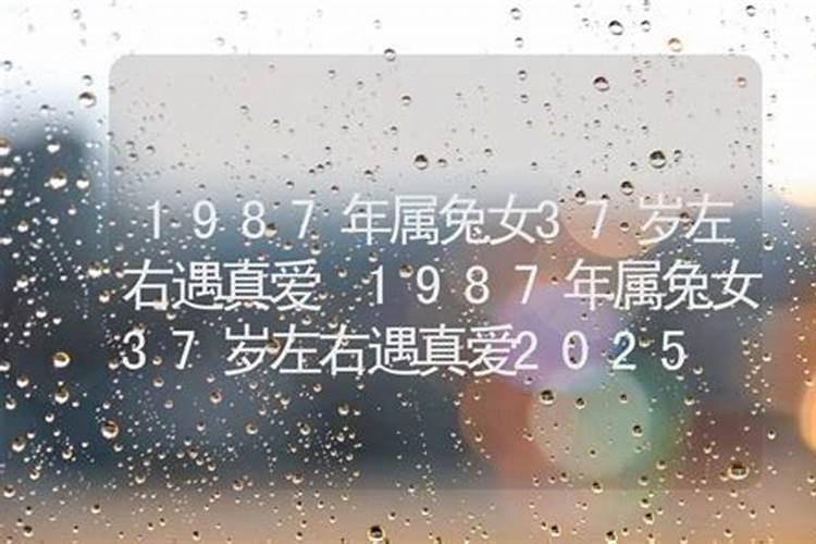 下周起桃花肆意喜遇真爱的4生肖