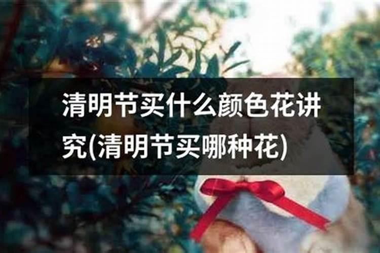 清明节上坟带什么供品