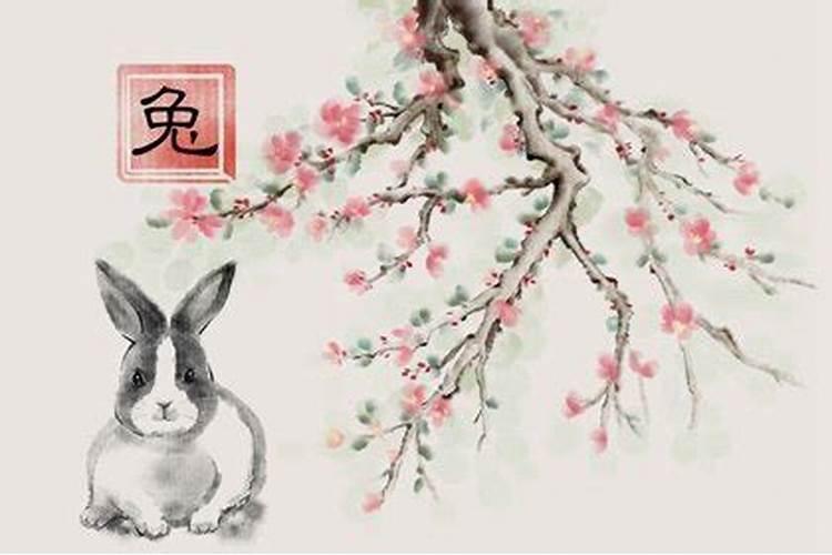 2025年属猪的全年运势