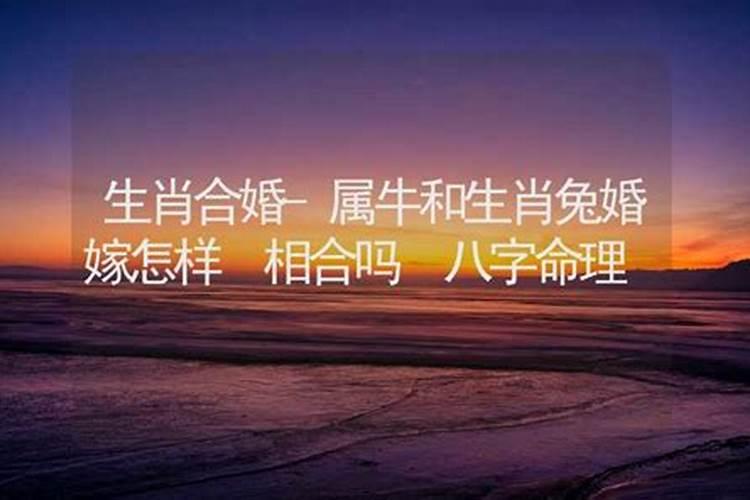 1973属牛2025年的运势及运程