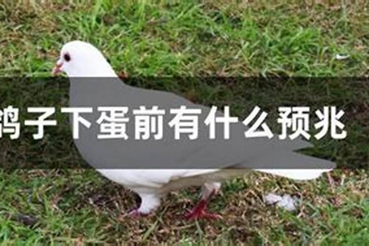 属牛的几月出生最好命阴历,属牛那天出生好