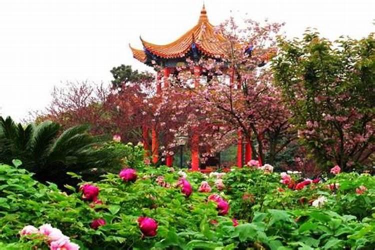 清明节临沂周边适合去哪里旅游