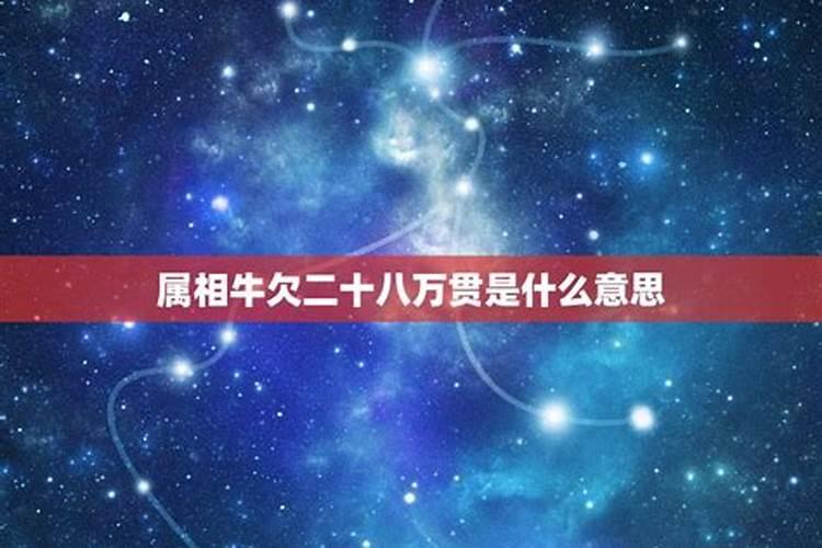 2024庚子年农历十月初十日是不是适合提车的吉日？