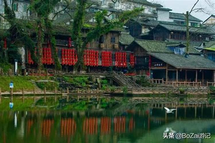 太岁是什么东西？值钱？