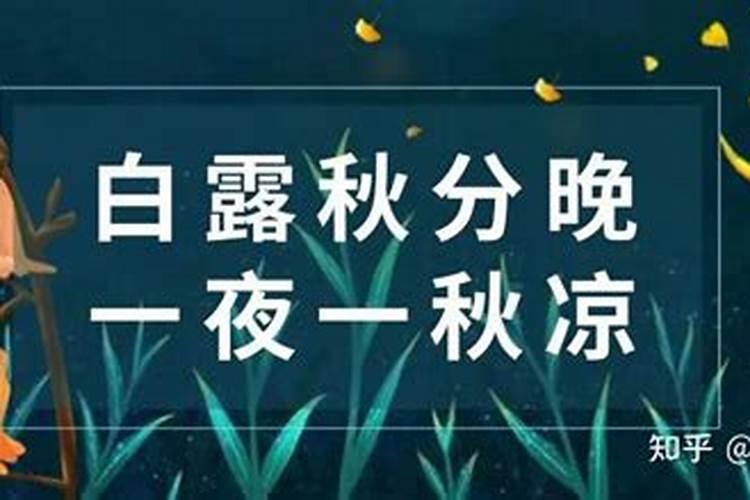舞蹈冬日节目串词