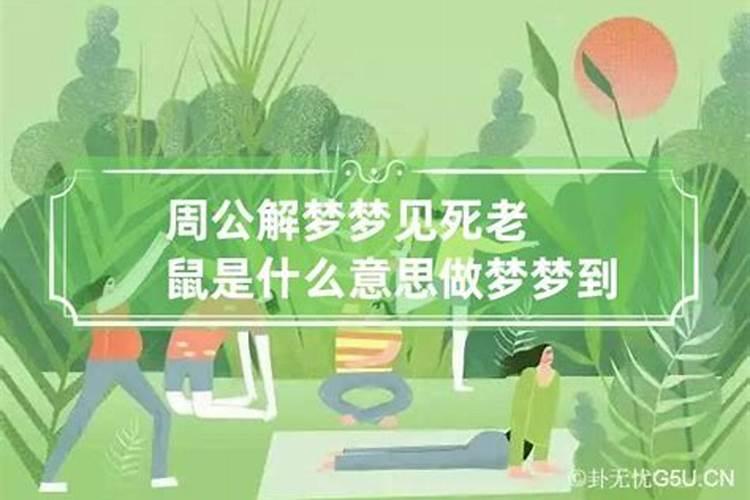 2025年属猪的全年运势