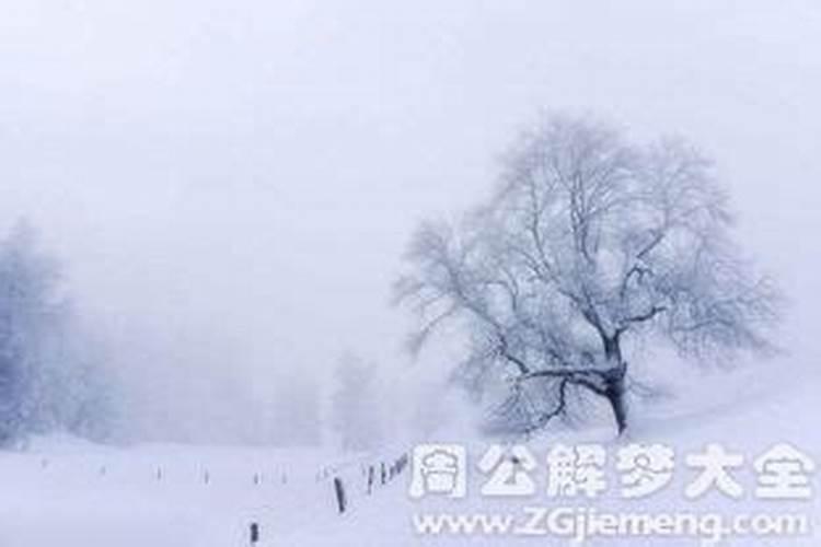 梦见漂亮的雪景是什么意思