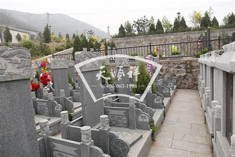 厂房院内栽什么树旺财 厂房院内旺财栽什么树