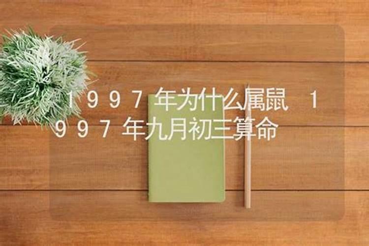 97年属牛28岁运势