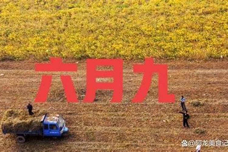 临西县哪天过会？