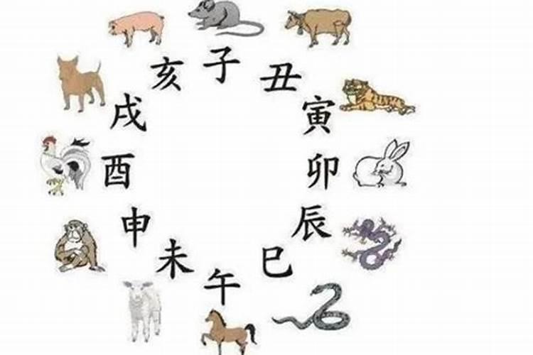 已酉是哪一年