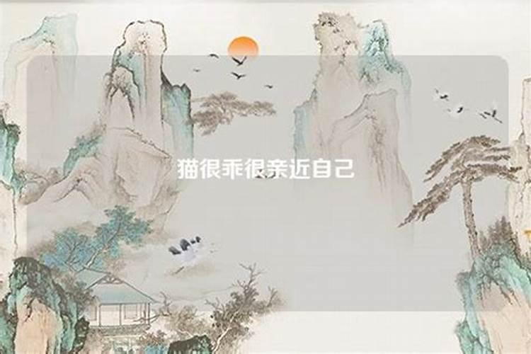 梦到牛生小牛预示着什么 周公解梦原版