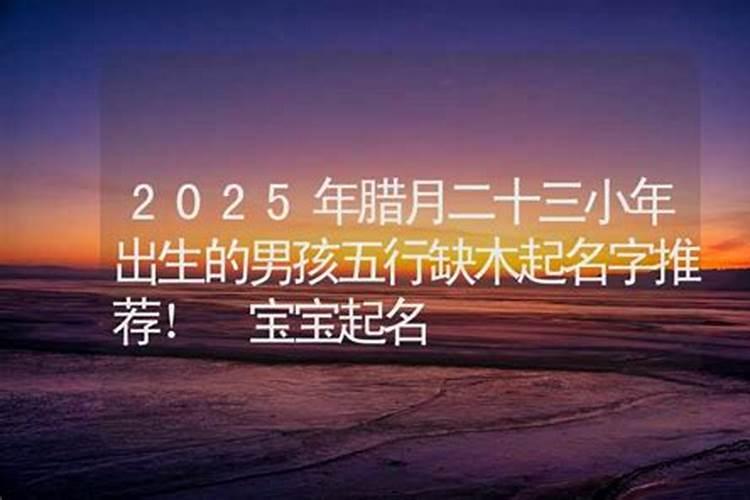 属马人2024年运势及运程详解