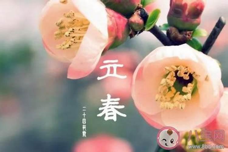 童子命的人换过替身后生活会顺利吗