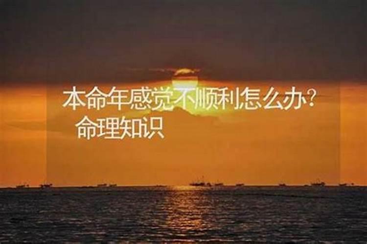 算命很准工作 知乎上哪个算命准