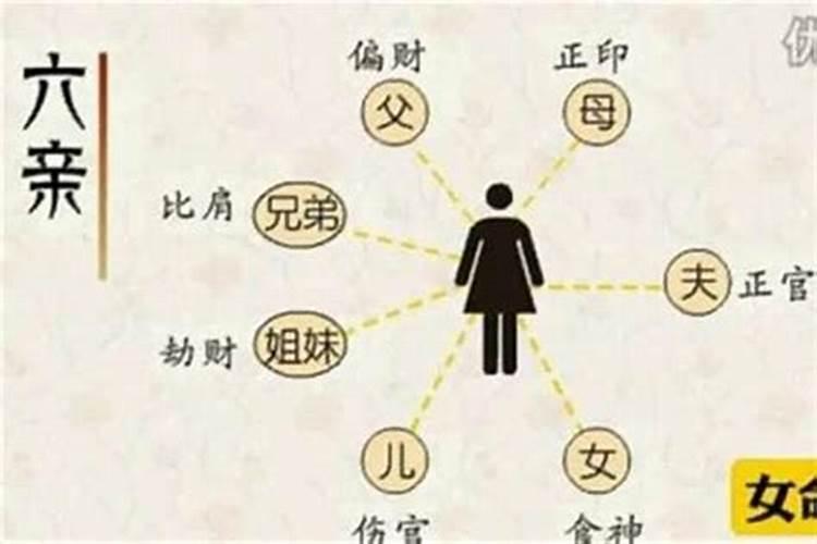养猫能招财吗？你的八字能养猫吗
