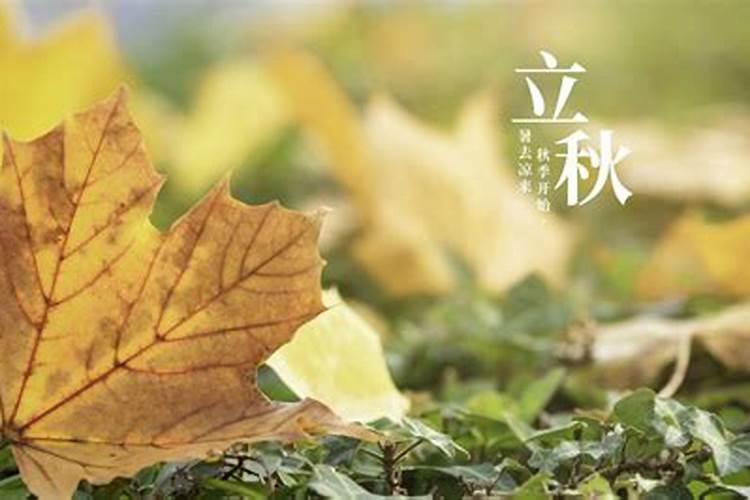 猪年有哪些生肖犯太岁,冲太岁啊？