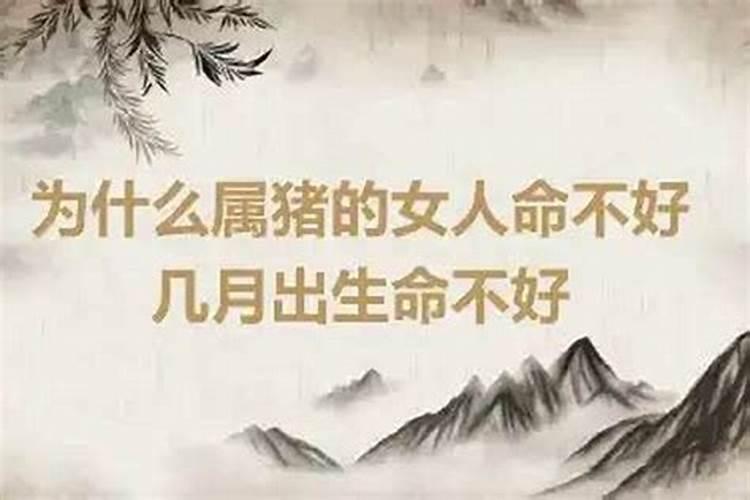 辛亥年癸巳月壬辰日甲辰时