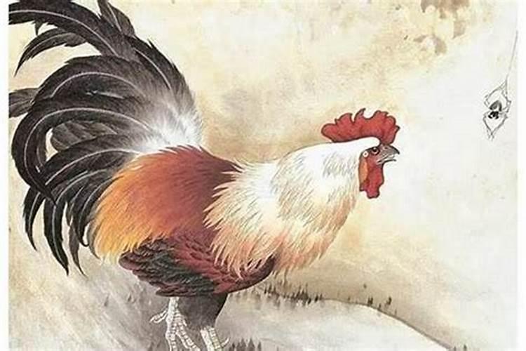 属鸡人佩戴什么本命佛好