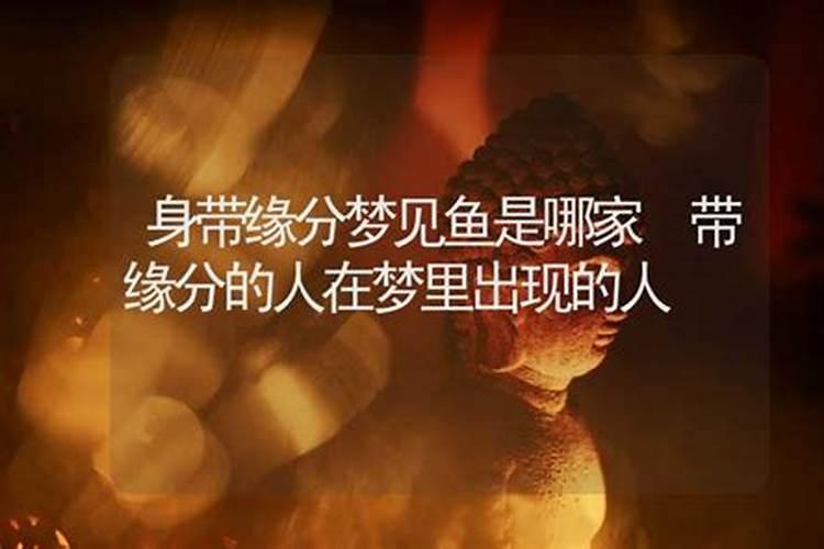 梦吃鱼是什么意思