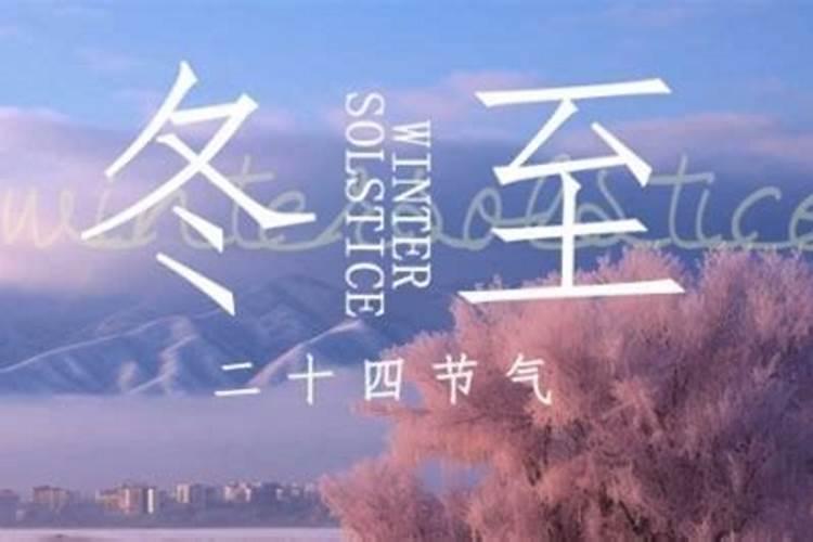 生肖蛇1953年2025年运势如何 生肖蛇1953年2025年全年运势