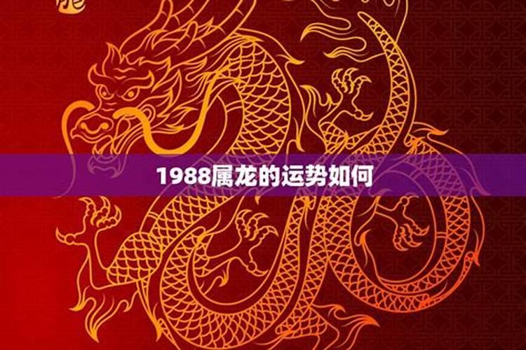 2024年属蛇犯太岁动土了怎么办 需要注意什么