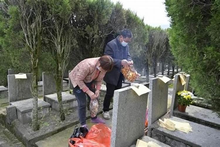 1945年属鸡人2024年运势及运程详解