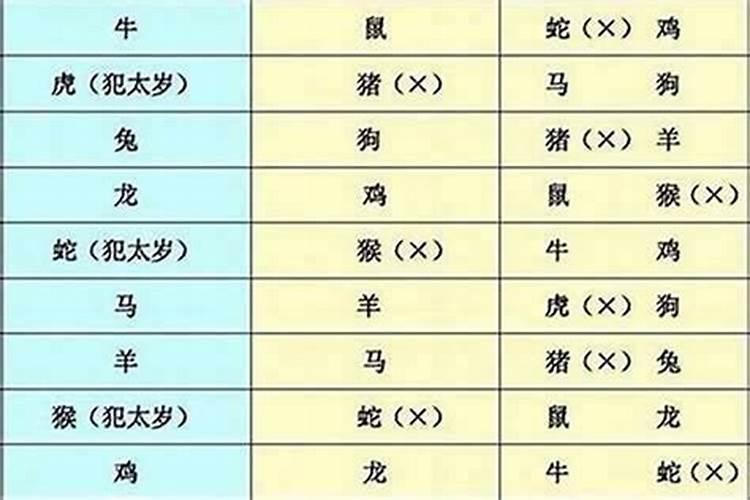 大学教师还有时间搞副业吗？