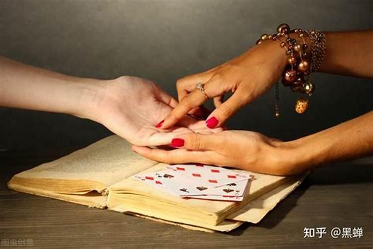 梦见乌龟和甲鱼咬我手怎么办？