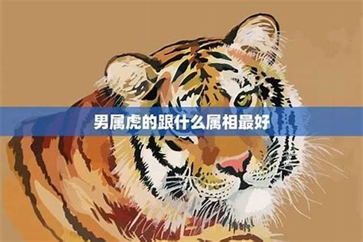 98年的男虎和什么属相配最好