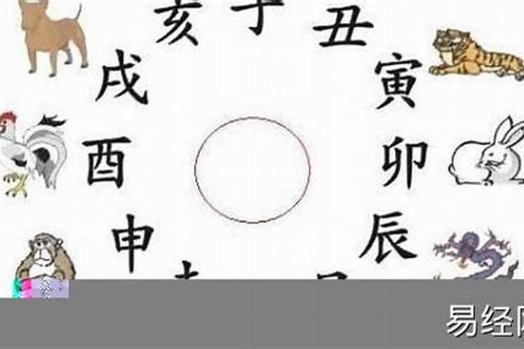 每日运程播报 2023年7月4日特吉生肖运势？