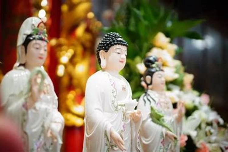 83年属猪人2025年及以后的运势