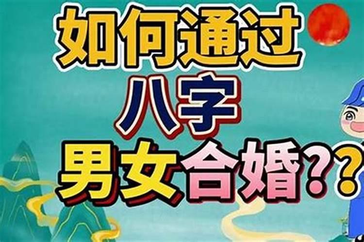 78年的马2025年运势
