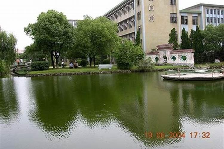 三月三有什么活动