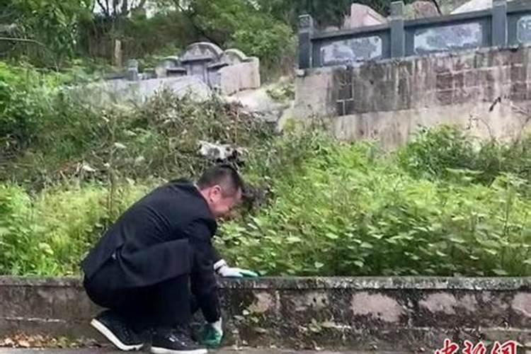 属牛腊月出生命运如何