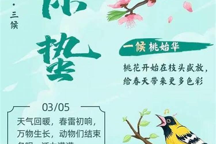 二十四节气惊蛰过后是什么