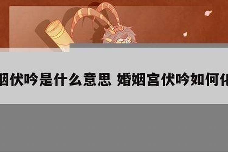 南方冬至一般吃什么食物