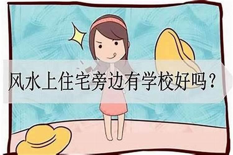2025属狗人全年12个月运势