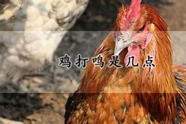 公鸡打鸣,猜一市名
