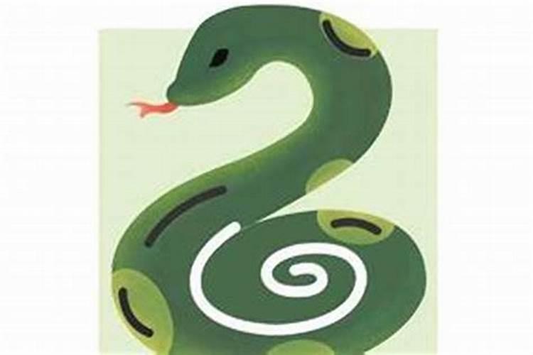 我是72年2月15日阴历正月初一 该戴什么挂件比较合适
