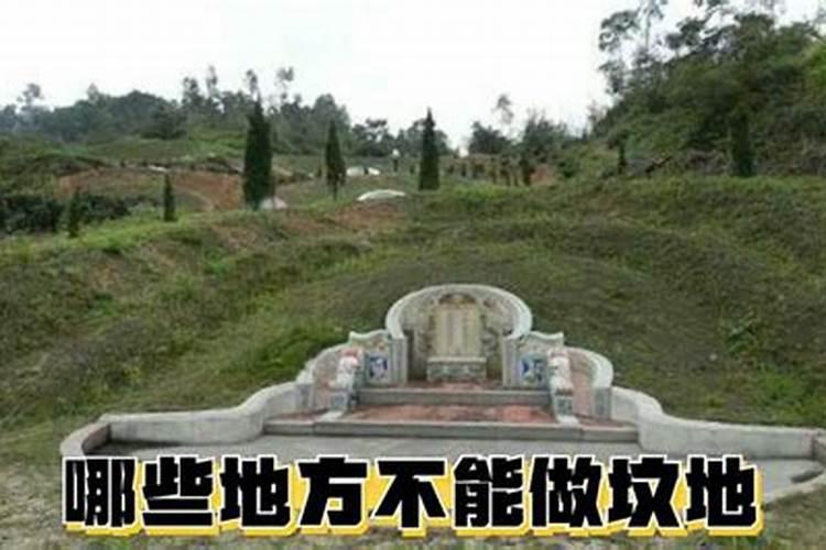 阴宅地气特别旺盛的征兆,祖坟什么风水旺子孙