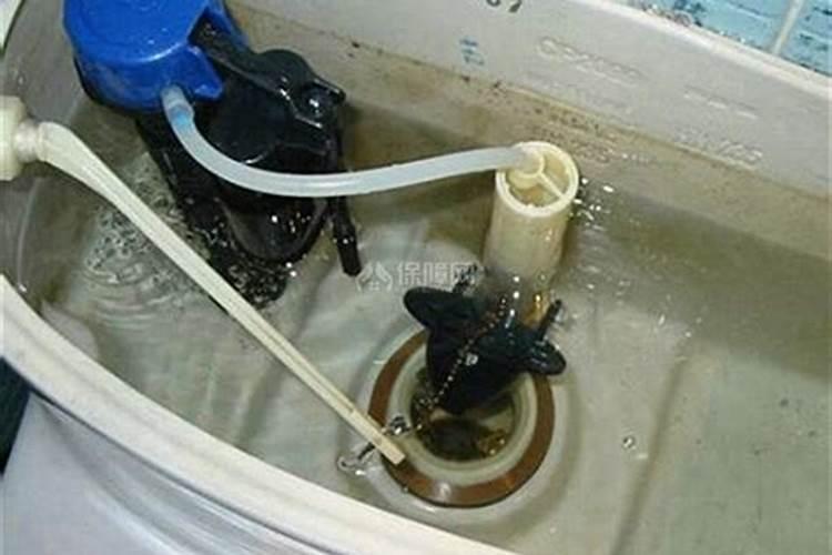 梦见马桶里有鱼冲水没有将鱼冲走